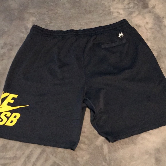 Nike SB Dri Fit Shorts - Picture 4 of 10
